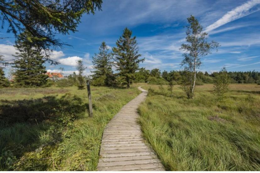 Mon Petit Cocon Villa Jalhay Eksteriør billede